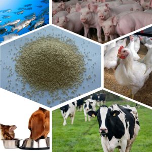 feed-yeast-animal-nutrition