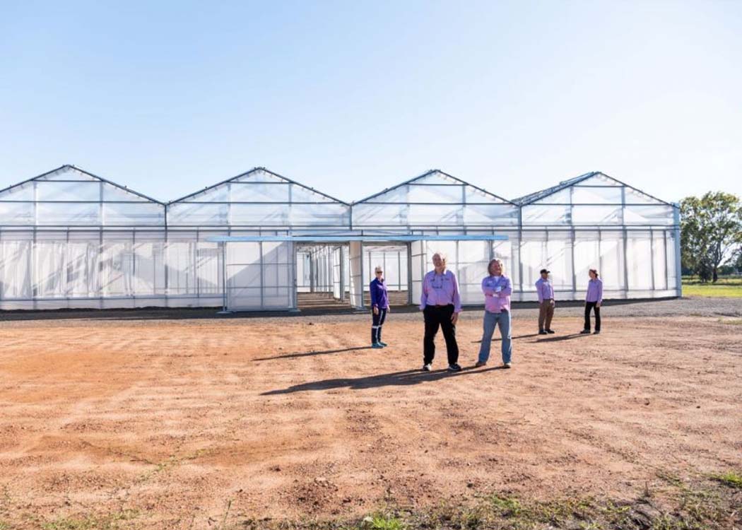 Genetic advances shine at Gatton AgTech Showcase in Queensland