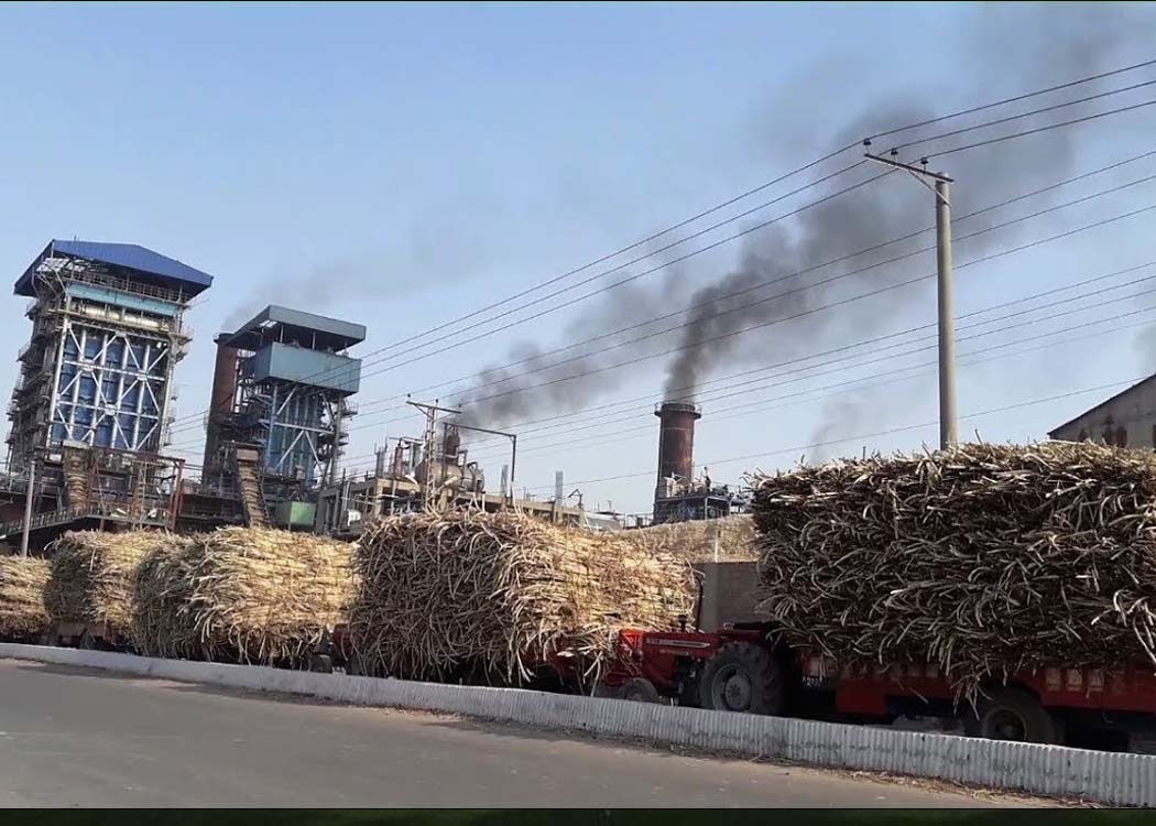 Photo courtesy of Profit.