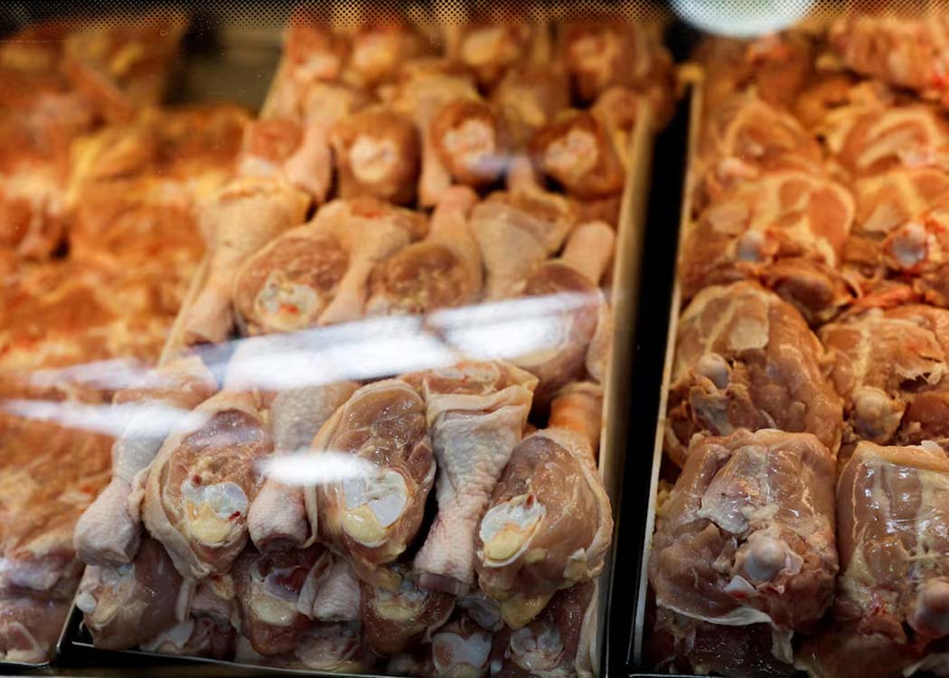 Brazil’s chicken exports to rise despite bird flu challenges in 2025