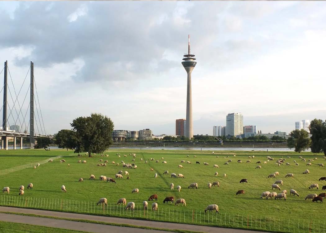 LIFE projects combat ammonia emissions from agriculture in Europe