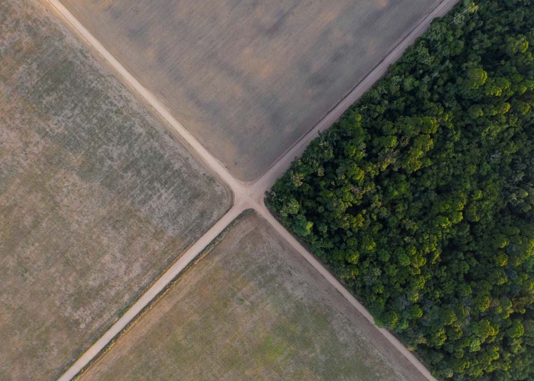 Brazil soy industry’s exit from Amazon Moratorium sparks environmental concerns