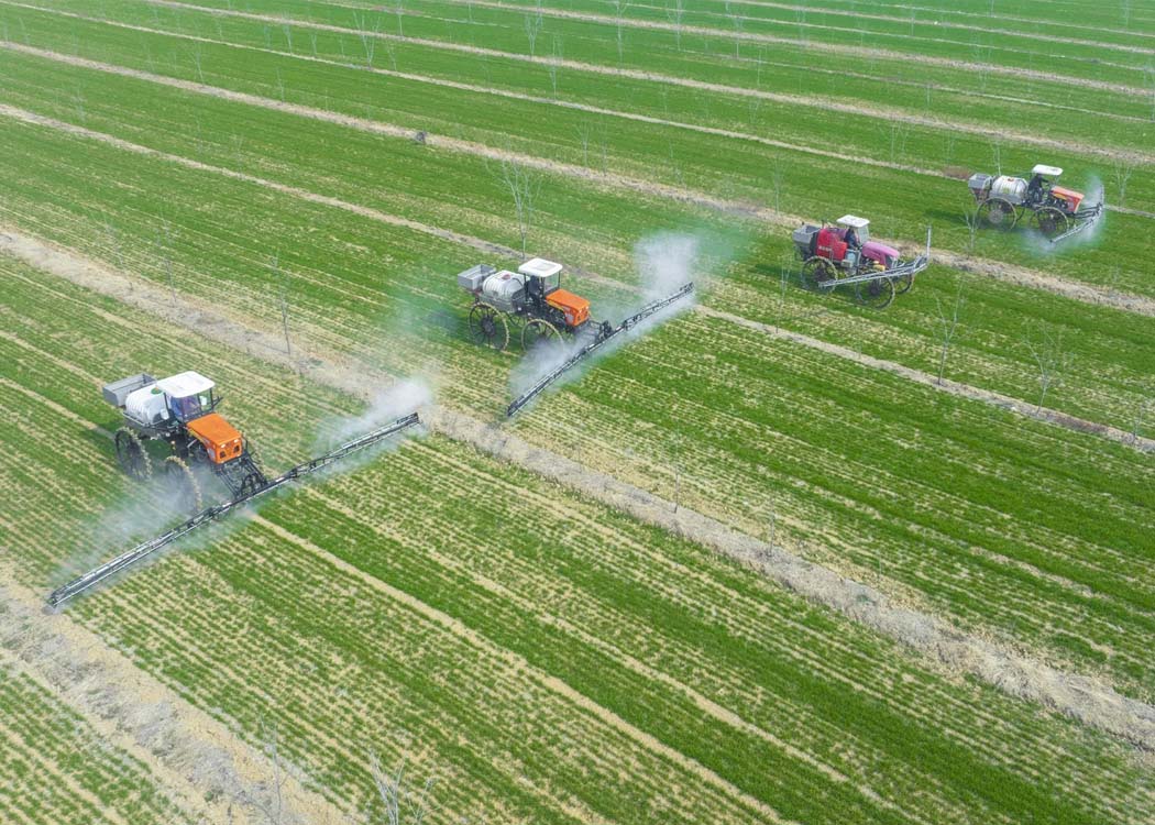 China pushes for food security with new drive to boost grain, oilseed output