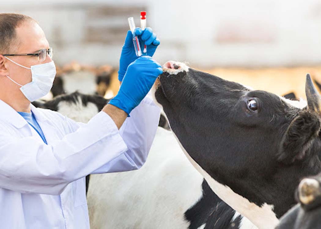 Global Animal Health Industry Set for Steady Growth in 2026 Amid Rising Cost Pressures