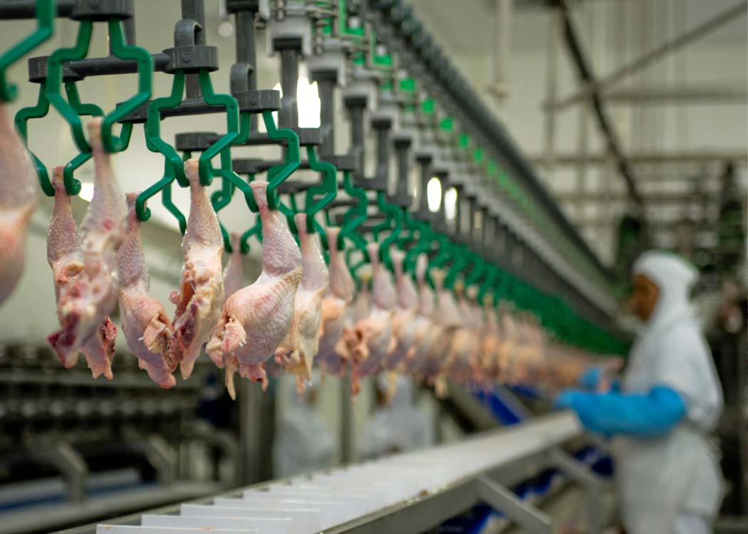 Saudi Arabia bans poultry and egg imports from France and Poland amid disease outbreaks