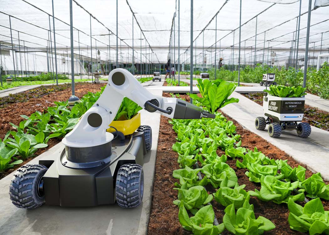 China’s agriculture turns to robotics as smart farming accelerates