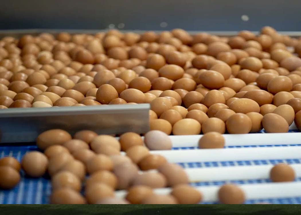 Image courtesy of News Nine