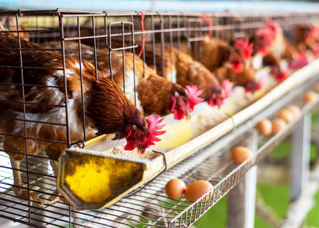 Image courtesy of Getty