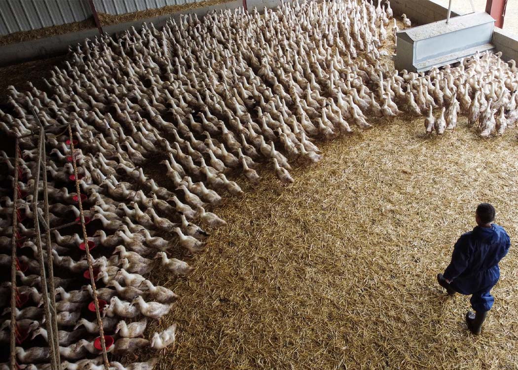 Image courtesy of Reuters