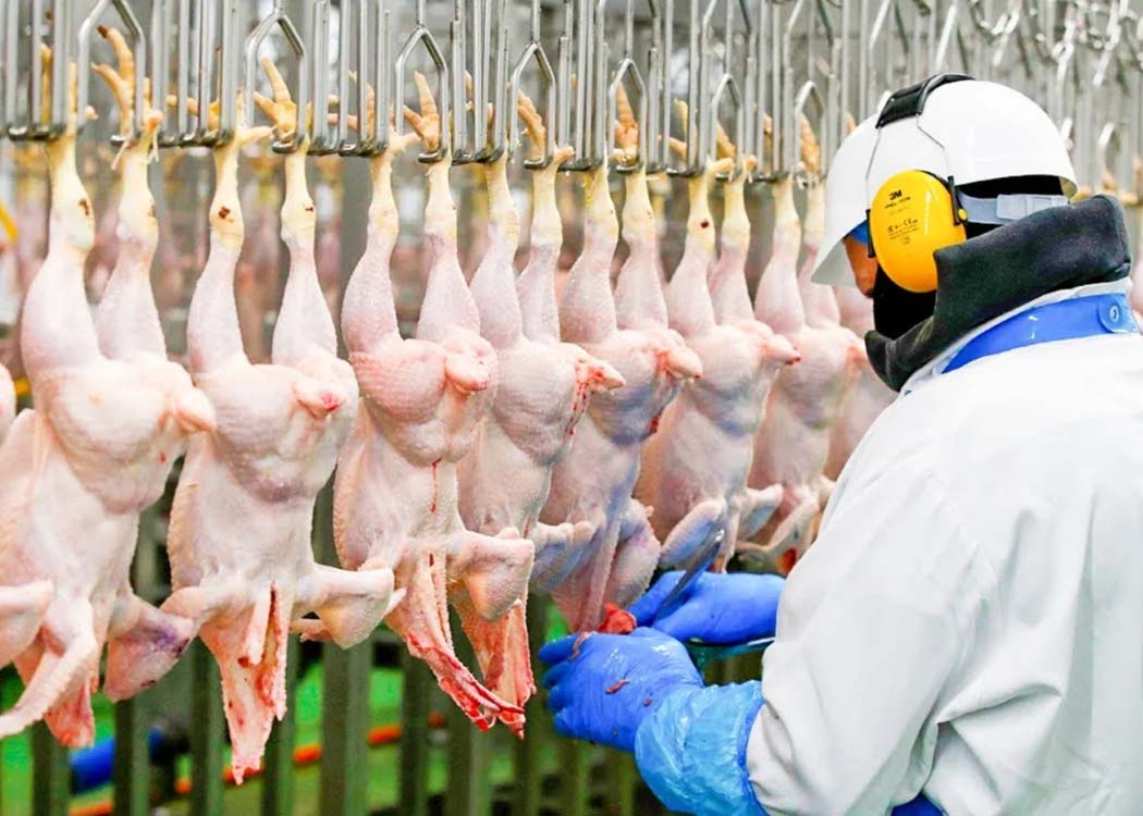 Image courtesy of avinews.com