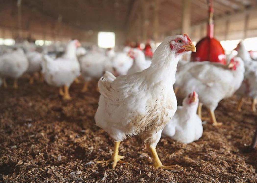 Image courtesy of Business Recorder