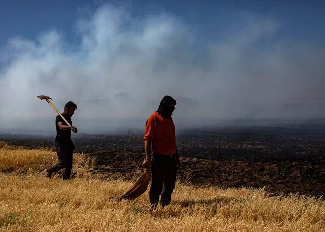 In a wheat field partially destroyed by a fire in Kamechliyé, Syria, during a severe drought, June 2, 2025. DELIL SOULEIMAN/AFP