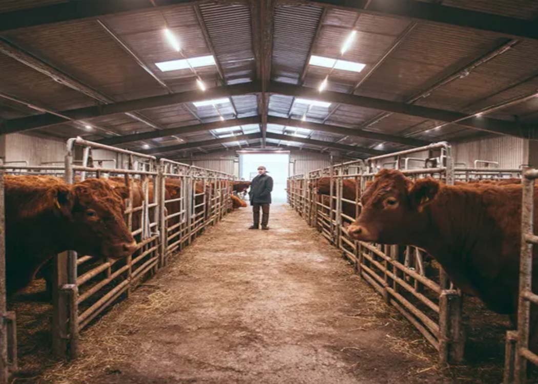 Image courtesy of Enrichers