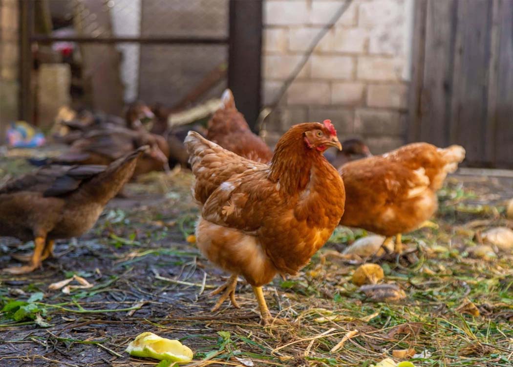 Image courtesy of Alamy/PA