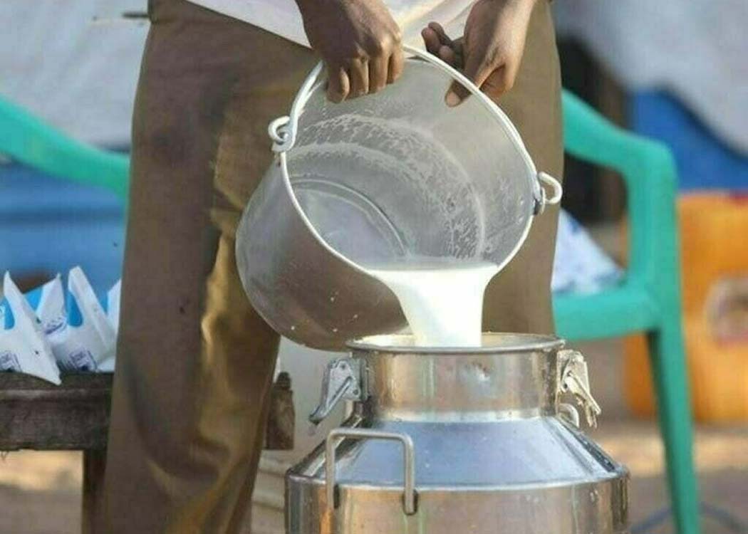 AUP, SABAWON project boosts milk production in KP