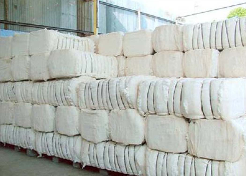 Pakistan cotton market experiences sharp decline amid budget concerns and growing pressure on ginners and textile manufacturers.