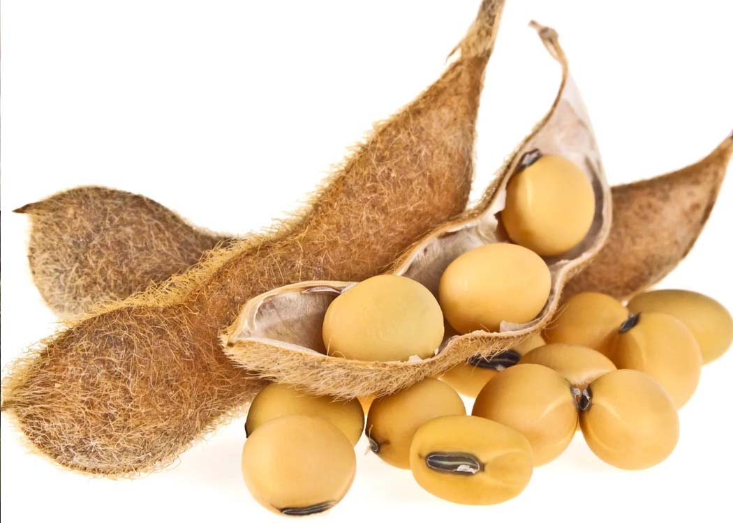 Soybeans used in Pakistan’s poultry-feed industry as US soybean imports cross one million tonnes annually.