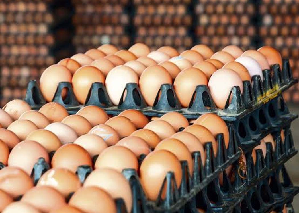 Eggs and chicken at a Pakistani poultry market as weekly inflation rises and egg prices increase.